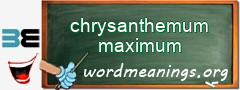 WordMeaning blackboard for chrysanthemum maximum